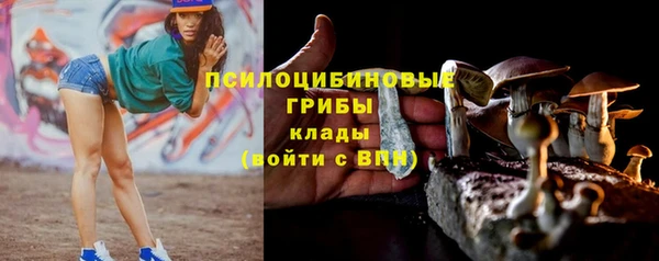 apvp Лиски
